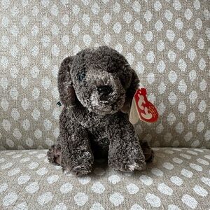 Ty Frisbee dog beanie baby. DOB 6/29/2001